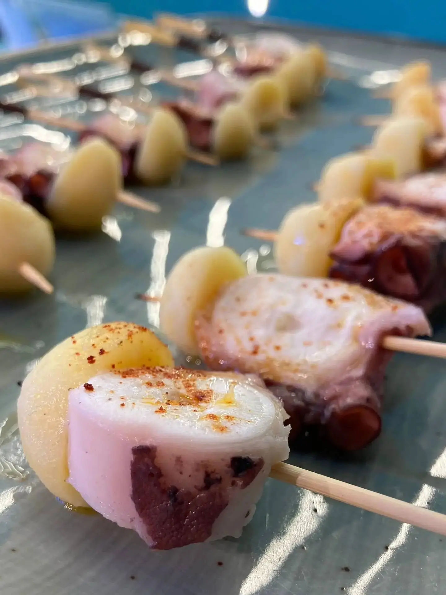pulpo2